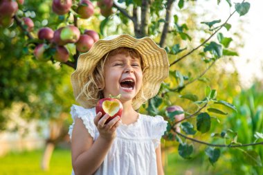 Bahçede elmalı çocuk. Seçici odaklanma. Çocuk.