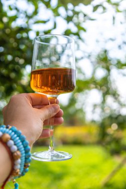 Piknikteki kadının ellerinde şarap. Seçici odaklanma. Doğa.