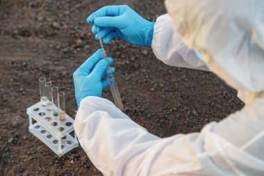 Test tüpünde toprak analizi. Seçici odaklanma. Doğa.