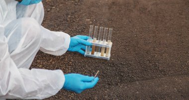 Test tüpünde toprak analizi. Seçici odaklanma. Doğa.