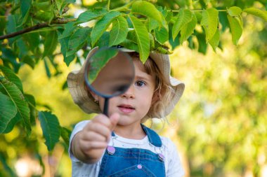 Bir çocuk doğadaki büyüteçten bakar. Seçici odaklanma. Çocuk,