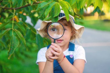 Bir çocuk doğadaki büyüteçten bakar. Seçici odaklanma. Çocuk,