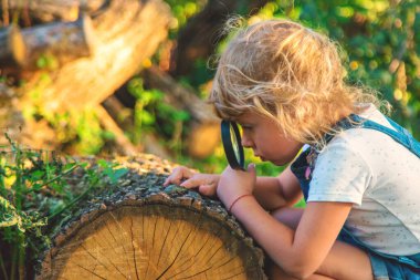 Bir çocuk doğadaki büyüteçten bakar. Seçici odaklanma. Çocuk,