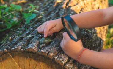 Bir çocuk doğadaki büyüteçten bakar. Seçici odaklanma. Çocuk,