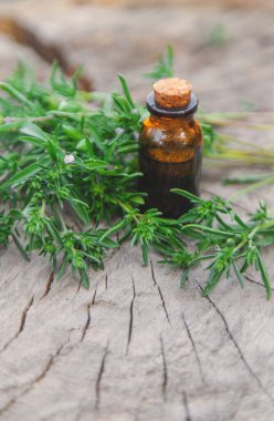 Kekik özü şişede. Seçici odaklanma. Doğa.