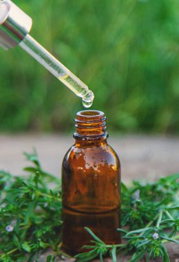 Kekik özü şişede. Seçici odaklanma. Doğa.