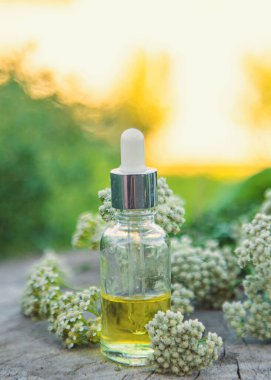 Kereste özü şişede. Seçici odaklanma. Doğa.