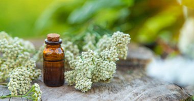 Kereste özü şişede. Seçici odaklanma. Doğa.