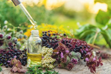 Çiçek ve bitkisel özü bir şişede. Seçici odaklanma. Doğa.