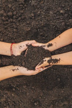 Bir çocuk elinde toprak tutuyor. Seçici odaklanma. Doğa.