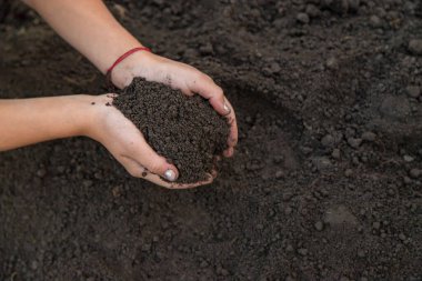Ellerinde toprak tutan bir adam. Seçici odaklanma. Doğa.
