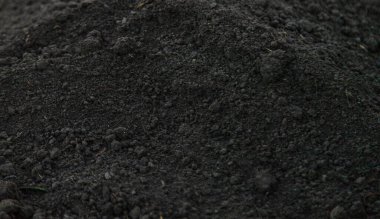 Doğada siyah toprak yakın plan. Seçici odaklanma. Doğa.