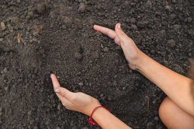 Bir çocuk elinde toprak tutuyor. Seçici odaklanma. Doğa.