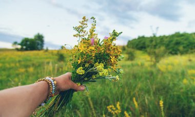 Şifalı bitkilerle çayırda bir kadın. Seçici odaklanma. Doğa.