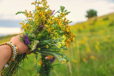 Şifalı bitkilerle çayırda bir kadın. Seçici odaklanma. Doğa.