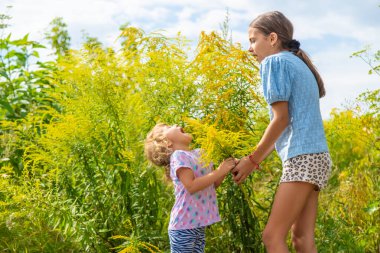 Child in ragweed flowers allergy. Selective focus. Kid. clipart