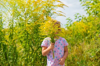 Çalı çiçeğine alerjisi olan bir çocuk. Seçici odaklanma. Çocuk.