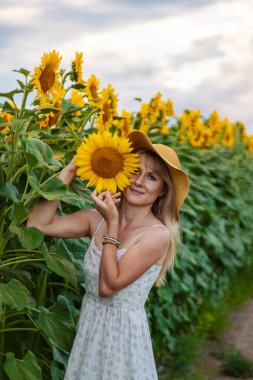 Tarlada ayçiçekleri içinde bir kadın. Seçici odaklanma. Doğa.