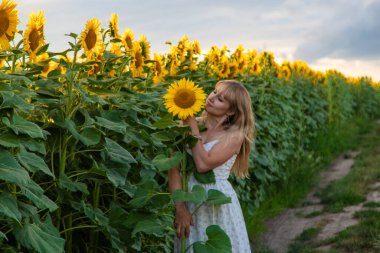 Tarlada ayçiçekleri içinde bir kadın. Seçici odaklanma. Doğa.