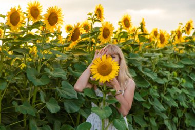 Tarlada ayçiçekleri içinde bir kadın. Seçici odaklanma. Doğa.