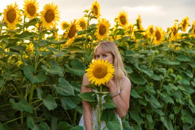 Tarlada ayçiçekleri içinde bir kadın. Seçici odaklanma. Doğa.