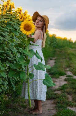 Tarlada ayçiçekleri içinde bir kadın. Seçici odaklanma. Doğa.