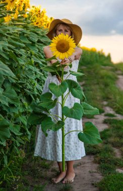 Tarlada ayçiçekleri içinde bir kadın. Seçici odaklanma. Doğa.