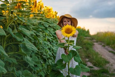 Tarlada ayçiçekleri içinde bir kadın. Seçici odaklanma. Doğa.