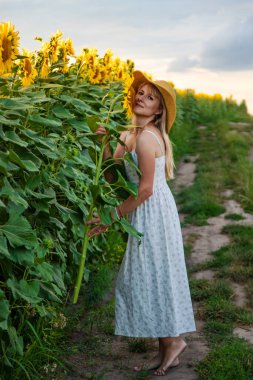 Tarlada ayçiçekleri içinde bir kadın. Seçici odaklanma. Doğa.