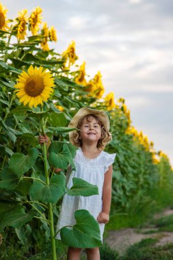 Bir tarlada ayçiçeklerinde bir çocuk. Seçici odaklanma. çocuk.