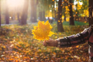 Sonbahar parkında kıdemli bir kadın. Seçici odaklanma. Doğa.
