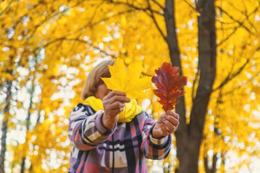 Sonbahar parkında kıdemli bir kadın. Seçici odaklanma. Doğa.