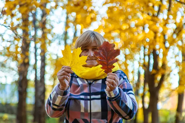 Sonbahar parkında kıdemli bir kadın. Seçici odaklanma. Doğa.