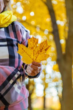 Sonbahar parkında kıdemli bir kadın. Seçici odaklanma. Doğa.
