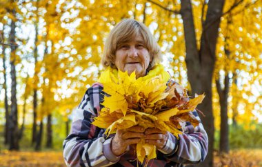 Sonbahar parkında kıdemli bir kadın. Seçici odaklanma. Doğa.
