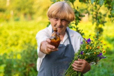 Çayırda şifalı otları olan bir kadın. Seçici odaklanma. Doğa.