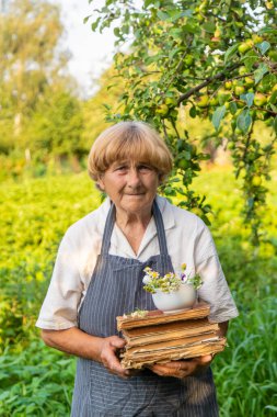 Çayırda şifalı otları olan bir kadın. Seçici odaklanma. Doğa.