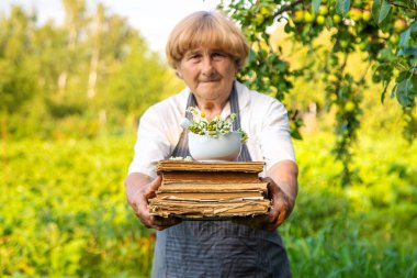 Çayırda şifalı otları olan bir kadın. Seçici odaklanma. Doğa.