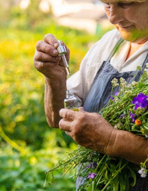 Çayırda şifalı otları olan bir kadın. Seçici odaklanma. Doğa.