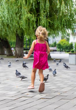 Bir çocuk parkta güvercin kovalıyor. Seçici odaklanma. Çocuk.