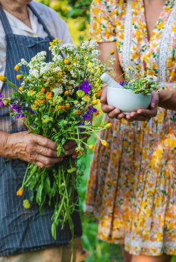 Çayırda şifalı otları olan bir kadın. Seçici odaklanma. Doğa.