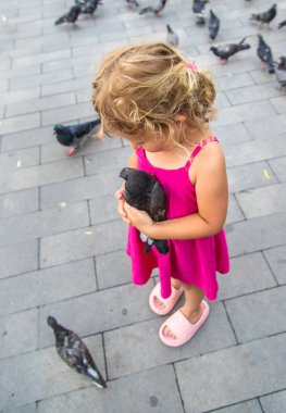 Bir çocuk parkta güvercin kovalıyor. Seçici odaklanma. Çocuk.