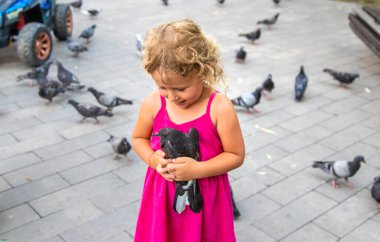 Bir çocuk parkta güvercin kovalıyor. Seçici odaklanma. Çocuk.