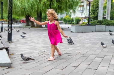 Bir çocuk parkta güvercin kovalıyor. Seçici odaklanma. Çocuk.