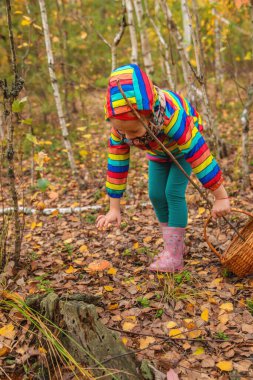 Child and fly agaric in the forest. Selective focus. nature. clipart