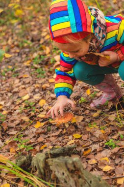 Child and fly agaric in the forest. Selective focus. nature. clipart