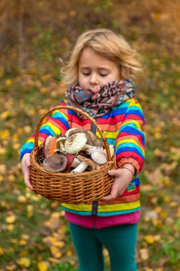 Ormanda bir sepet mantarlı çocuk. Seçici odaklanma. Doğa.
