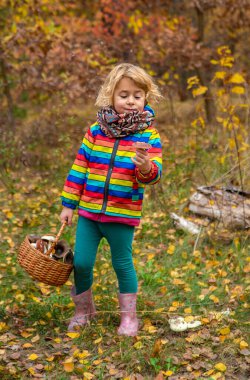 Ormanda bir sepet mantarlı çocuk. Seçici odaklanma. Doğa.