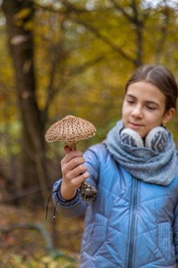 Mantar şemsiyeleri ellerinde. Seçici odaklanma. Doğa.