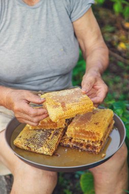 Yaşlı bir kadın bahçesinde bal tutuyor. Seçici odaklanma. yiyecek.
